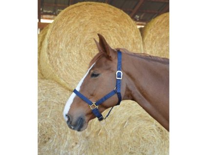 Ohlávka RIDING WORLD tmavě modrá COB