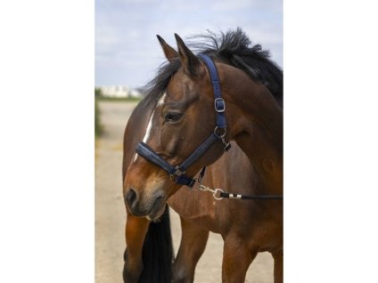 Ohlávka EQUITHEME Nylon Strass navy blue COB