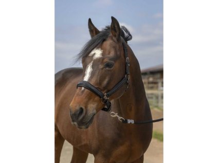 Ohlávka EQUITHEME Nylon Strass black FULL