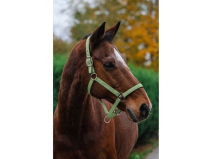 Ohlávka EQUITHEME Spring light green FULL