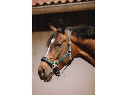 Ohlávka EQUITHEME Jacquard green COB