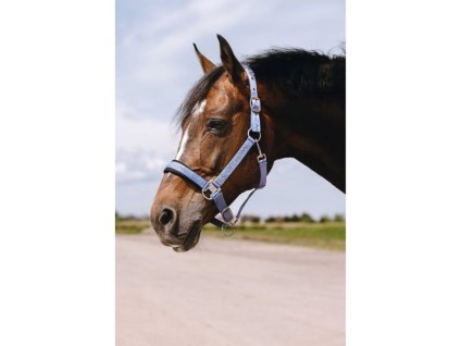 Ohlávka EQUITHEME Jacquard light blue COB