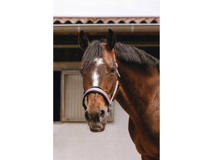 Ohlávka EQUITHEME Jacquard pink COB