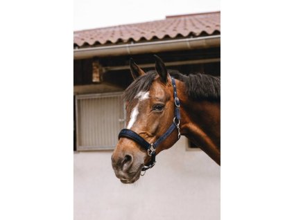 Ohlávka EQUITHEME Jacquard navy blue FULL