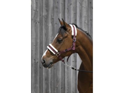 Ohlávka RIDING WORLD s beránkem vínová PONY