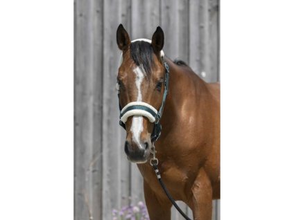 Ohlávka RIDING WORLD s beránkem tmavě zelená COB