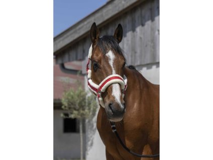 Ohlávka NORTON Cosy s beránkem červená PONY