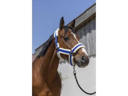 Ohlávka NORTON Cosy s beránkem královsky modrá PONY