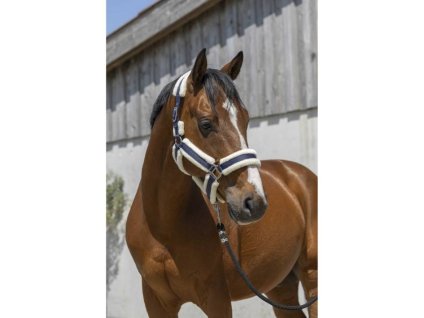 Ohlávka NORTON Cosy s beránkem tmavě modrá PONY