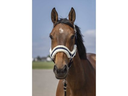 Ohlávka EQUITHEME Nylon Mouton blue/white COB