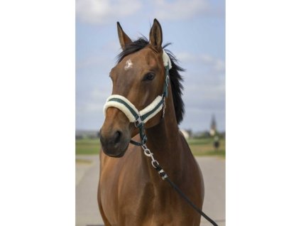 Ohlávka EQUITHEME Nylon Mouton green/white COB