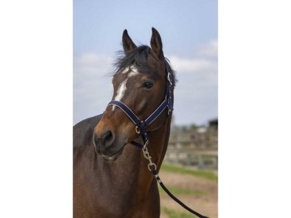 Ohlávka EQUITHEME Nylon Light navy blue FULL