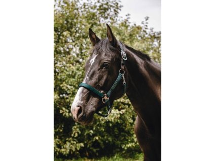 Bezpečnostní ohlávka EQUITHEME Protector zelená FULL