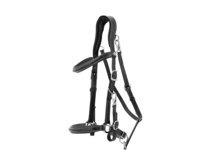 Vytrvalostní uzdečka NORTON Trekking black FULL