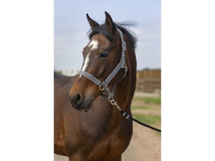 Ohlávka EQUITHEME Nylon Light grey COB
