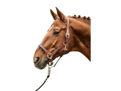Kožená ohlávka HKM Soft brown COB