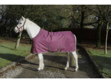 Deka stájová BUCAS Freedom 150g raspberry 155cm (KOLEKCE 2025/26)