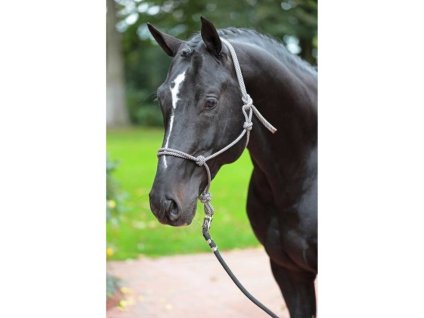 Provazová ohlávka COVALLIERO modrá/béžová PONY