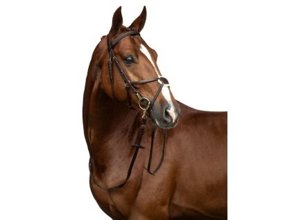 Uzdečka HKM Mexican Style s mexickým nánosníkem brown PONY