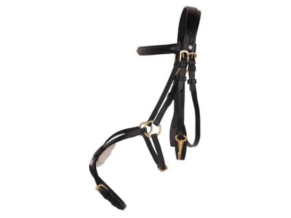 Uzdečka HKM Mexican Style s mexickým nánosníkem black PONY