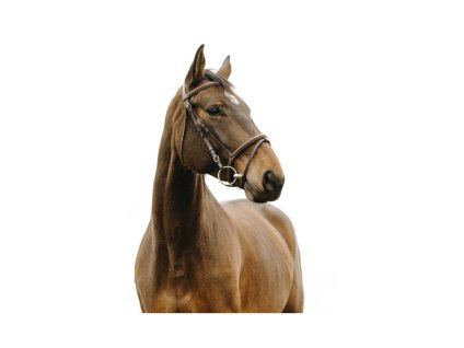 Uzdečka NORTON CLUB Deco s anglickým nánosníkem havana FULL