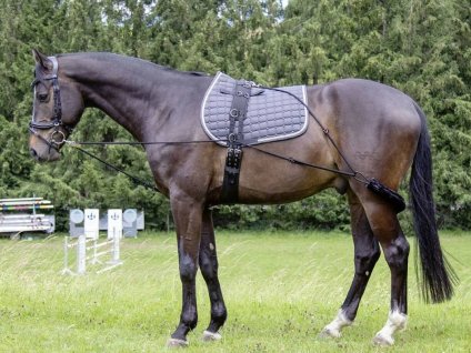 Lonžovací postroj HKM black COB/FULL