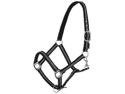 Ohlávka COVALLIERO Mustang černá/stříbrná COB