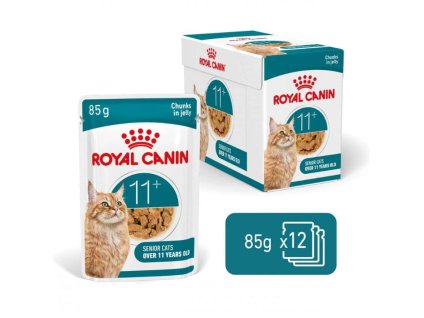 Kapsička ROYAL CANIN Cat Ageing 11+ 12x85g (v želé) (multipack)