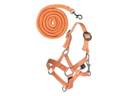 Ohlávka s vodítkem HKM Basic pro Hobby Horse orange