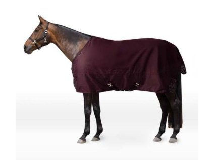 Výběhová deka HORZE Newbridge Reflective 200g fig 125cm