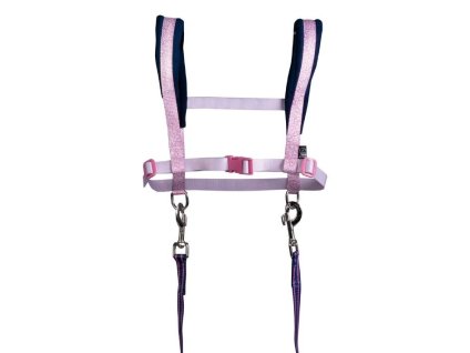 Postroj pro děti HKM Funny Horses rose/deep blue