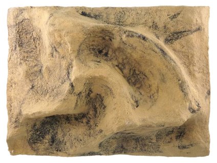 Pozadí REPTI PLANET do terária 40,5x55,5x12cm