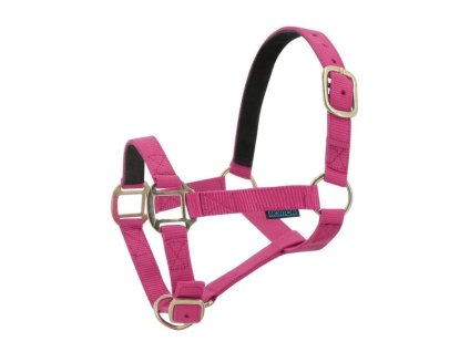 Ohlávka NORTON Nylon malinová/černá SHETTY