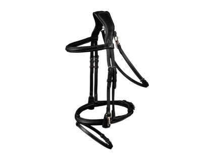 Uzdečka WALDHAUSEN X-Line Work s anglickým nánosníkem black COB