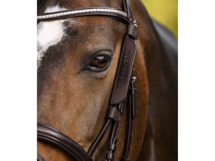 Blinkers WALDHAUSEN brown (S)