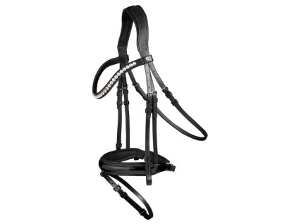 Uzdečka WALDHAUSEN X-Line Evermore se švédským nánosníkem black/black COB