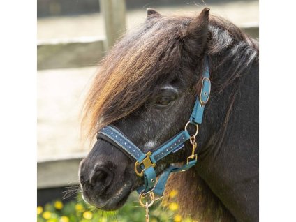 Ohlávka s vodítkem HARRY'S HORSE Crystal tapestry PONY