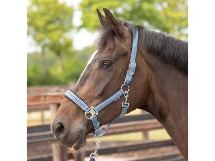 Ohlávka s vodítkem HARRY'S HORSE Crystal blue heaven PONY