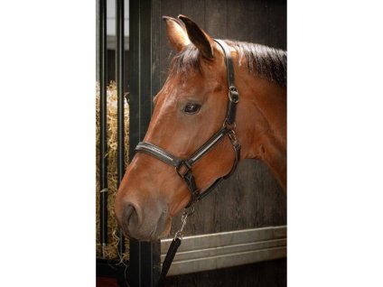 Kožená ohlávka HARRY'S HORSE Metallic černá/rose gold FULL