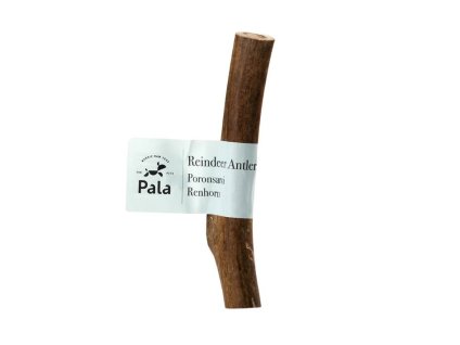 PALA Reindeer Antler (M)
