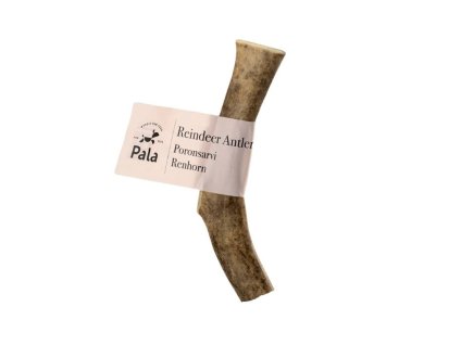 PALA Reindeer Antler (S)