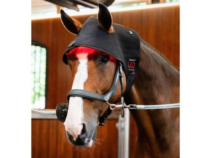 HORSEWARE LED Red Light Therapy Poll Cap black FULL