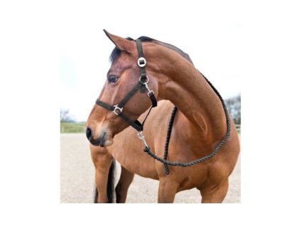 Vodítko HORZE Basic dark blue