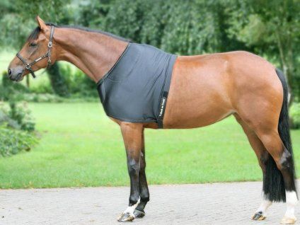 Vesta pod deku BACK ON TRACK black 155cm