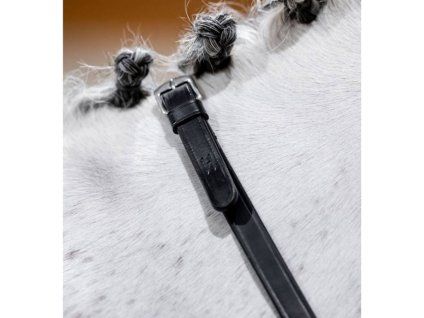 Otěže HORSEWARE Curb black FULL