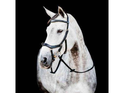 Uzdečka HORSEWARE Micklem Multi Bridle 3 black PONY
