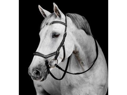 Uzdečka HORSEWARE Micklem Deluxe Competition 2 black FULL