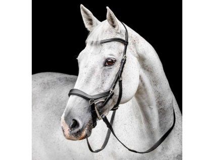 Uzdečka HORSEWARE Micklem Competition 2 black COB
