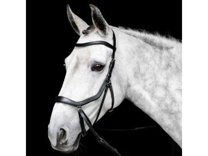 Uzdečka Micklem Bitless Bridle black COB