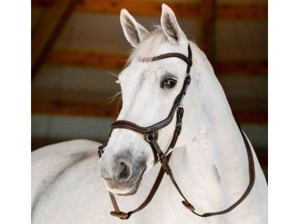 Uzdečka HORSEWARE Micklem Bitless Bridle 3 brown FULL
